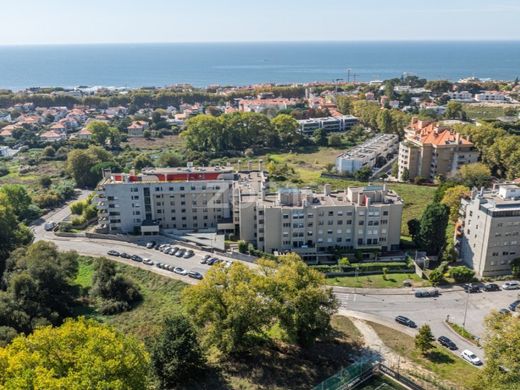 ポルト, Portoのアパートメント