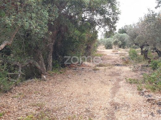 Terreno a Borba, Distrito de Évora