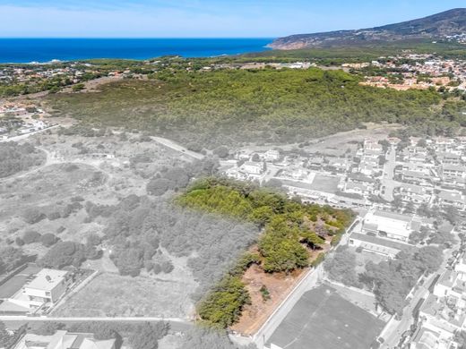 ‏קרקע ב  Cascais, Distrito de Lisboa