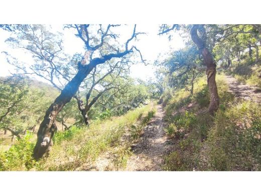 Terreno a Santiago do Cacém, Distrito de Setúbal