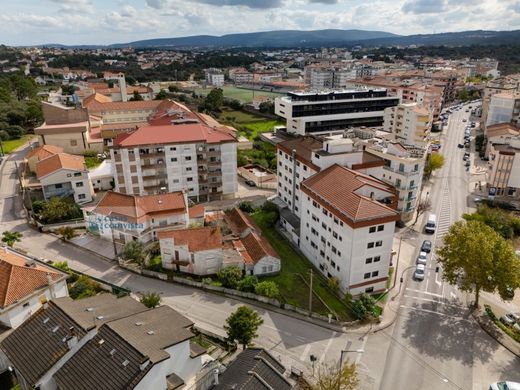 Luxury home in Vila Nova de Ourém, Ourém
