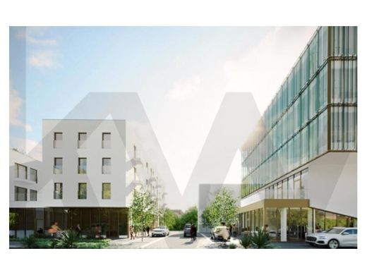 Daire Porto, Distrito do Porto