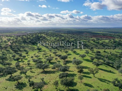 ‏חווה ב  Évora, Distrito de Évora