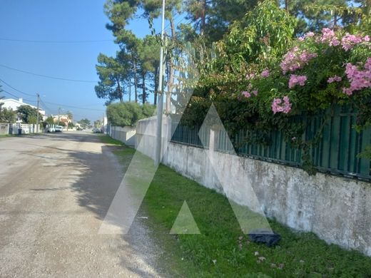 토지 / Charneca de Caparica, Almada