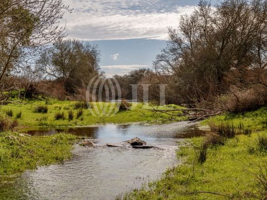 Ferme à Ourique, Distrito de Beja