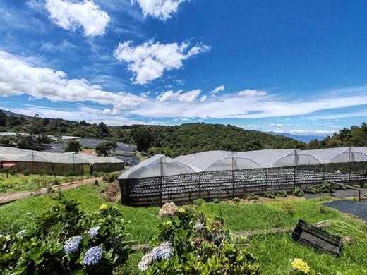 Rustykalny lub Wiejski w Alajuela, Cantón de Alajuela