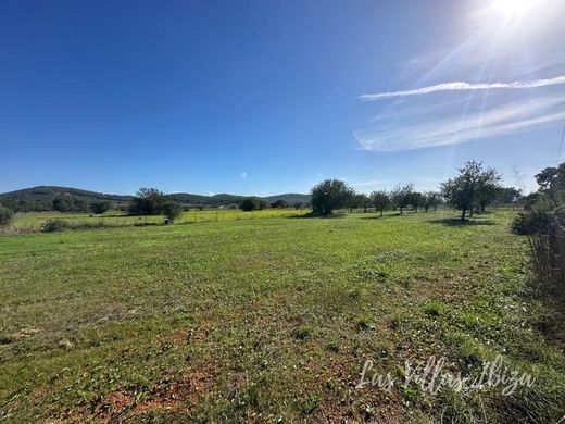 토지 / Santa Eulària des Riu, Illes Balears