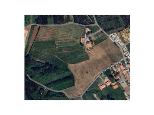 Nazaré, Distrito de Leiriaの高級住宅