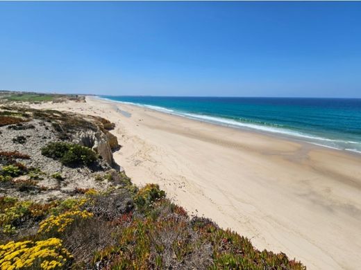 ‏קרקע ב  Óbidos, Distrito de Leiria