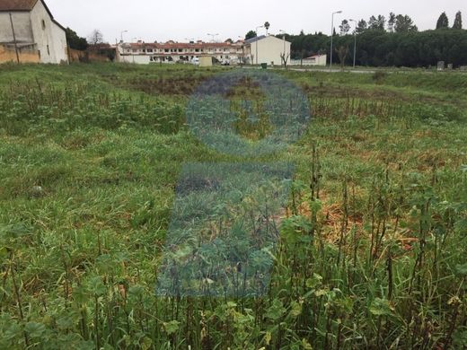 Grundstück in Anadia, Distrito de Aveiro
