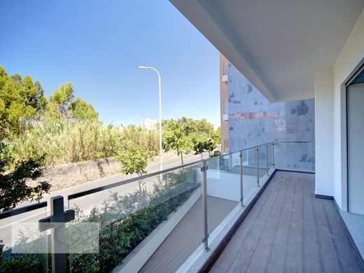 Daire Cascais, Distrito de Lisboa