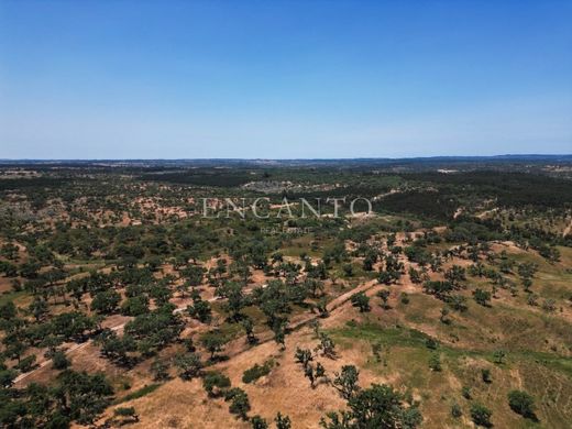 ﻣﺰﺭﻋﺔ ﻓﻲ Santiago do Cacém, Distrito de Setúbal