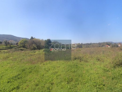 토지 / Viana do Castelo, Distrito de Viana do Castelo