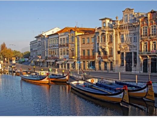 Apartment in Aveiro