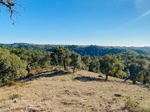 地皮  Santiago do Cacém, Distrito de Setúbal