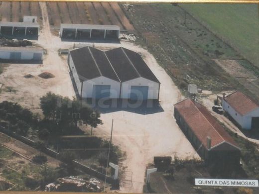 Αγροτεμάχιο σε Coruche, Distrito de Santarém