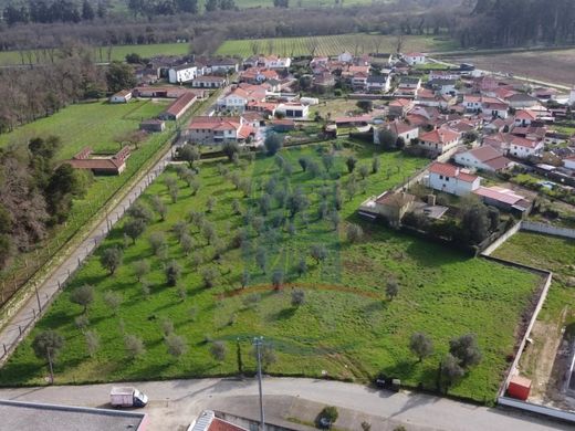Terreno en Ponte de Lima, Viana do Castelo