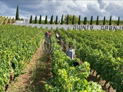 Teren w Alijó, Distrito de Vila Real