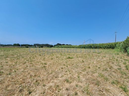 Terreno en Caldas da Rainha, Leiria