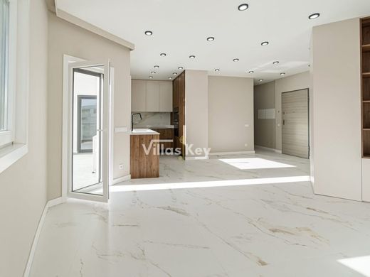 Daire Silves, Distrito de Faro