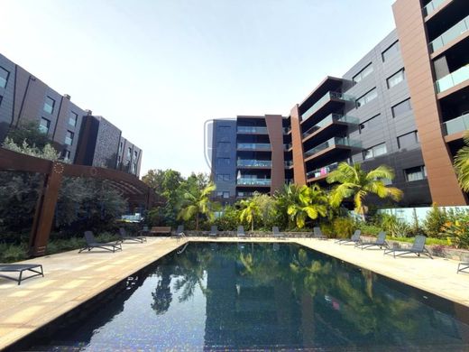 Apartment in Funchal, Madeira