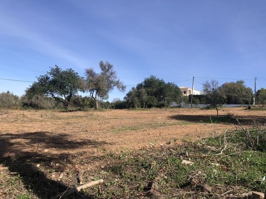 Αγροτεμάχιο σε Loulé, Distrito de Faro