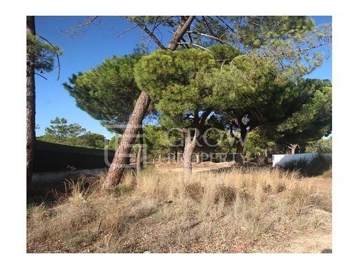 토지 / Loulé, Distrito de Faro