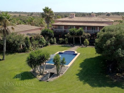 Maison de luxe à Santa Margalida, Province des Îles Baléares