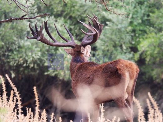 Luxe woning in Membrío, Provincia de Cáceres