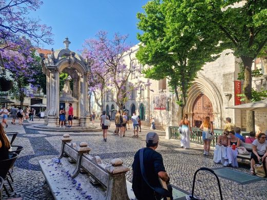 Daire Lizbon, Lisbon