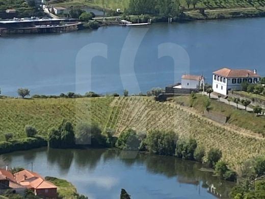 Luxus-Haus in Peso da Régua, Distrito de Vila Real