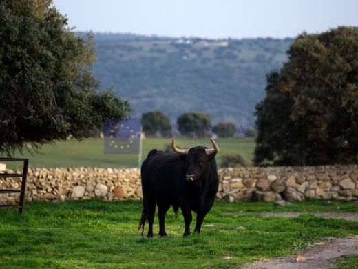 Luxe woning in Coria, Provincia de Cáceres