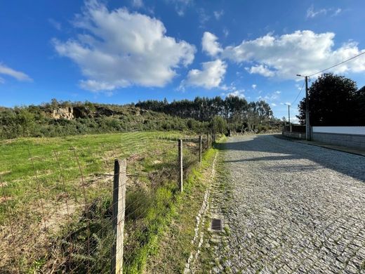 Terrain à Penafiel, Distrito do Porto