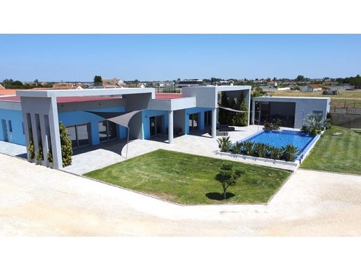 Casa Unifamiliare a Salvaterra de Magos, Distrito de Santarém