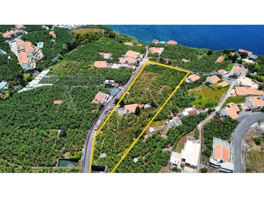 Land in Calheta, Madeira