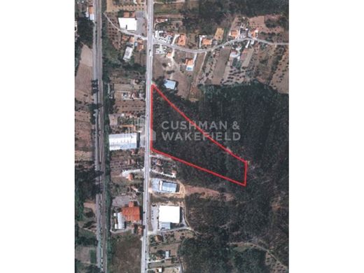 Terreno a Pombal, Distrito de Leiria