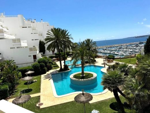 Daire Calvià, Illes Balears