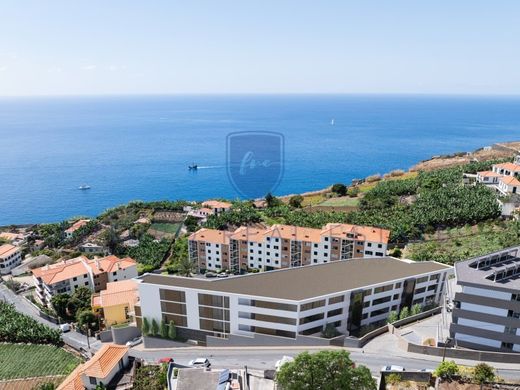 Apartment in Câmara de Lobos, Madeira