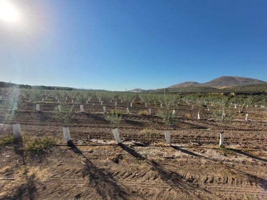 Villa a Jaén, Provincia de Jaén