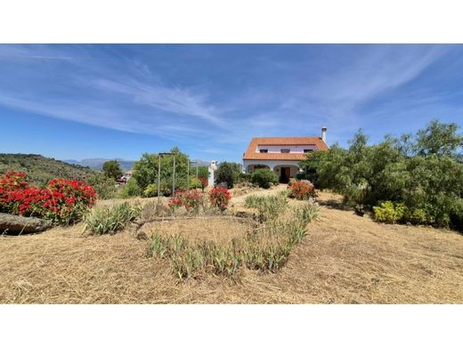 Luxury home in Casabermeja, Malaga