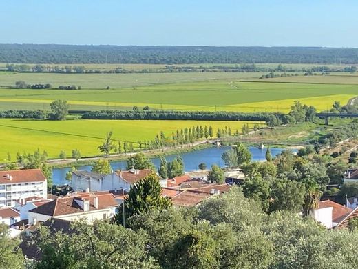 Land in Coruche, Distrito de Santarém