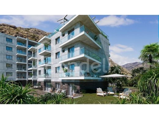 Ribeira Brava, Madeiraのアパートメント