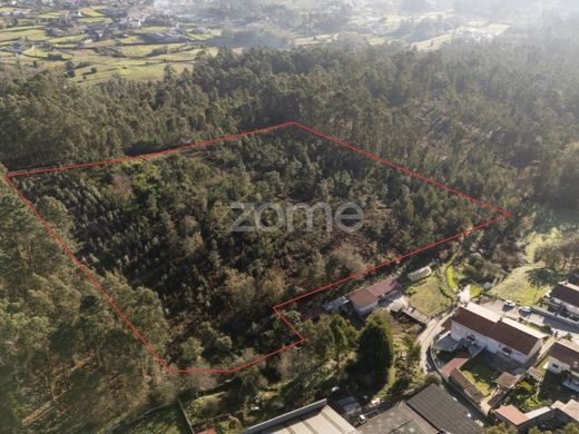 Grundstück in Santa Maria da Feira, Distrito de Aveiro