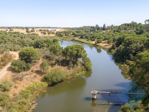 Fattoria a Alcácer do Sal, Distrito de Setúbal
