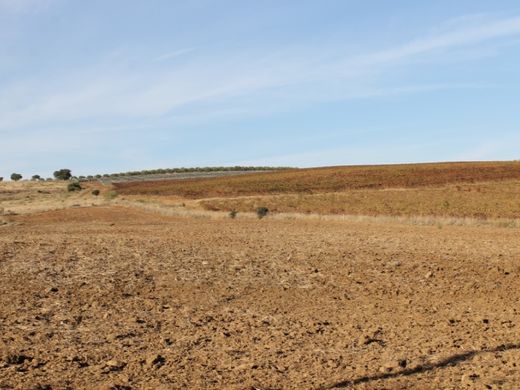 Φάρμα σε Reguengos de Monsaraz, Distrito de Évora