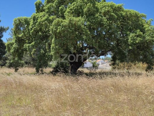 Seixal, Distrito de Setúbalの土地