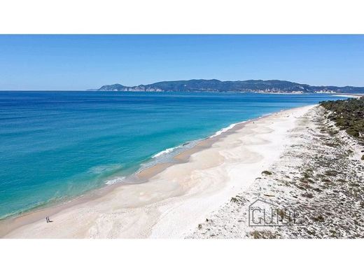 Terreno a Comporta, Alcácer do Sal