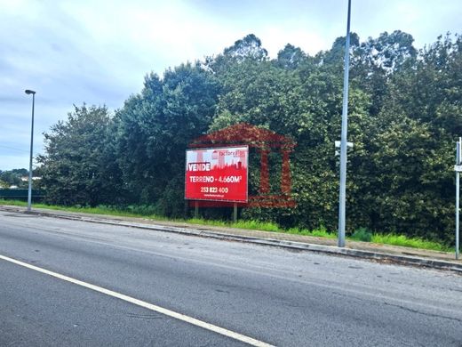 Land in Barcelos, Distrito de Braga