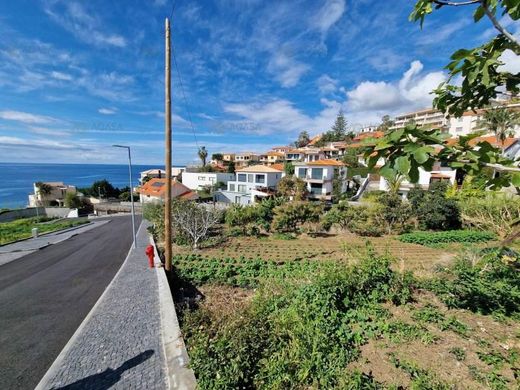 Teren w Funchal, Madeira