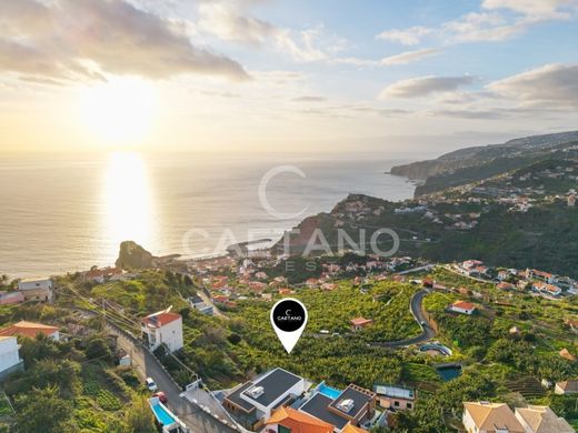 Terrain à Ribeira Brava, Madère